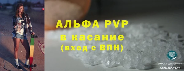ГАЛЛЮЦИНОГЕННЫЕ ГРИБЫ Балабаново
