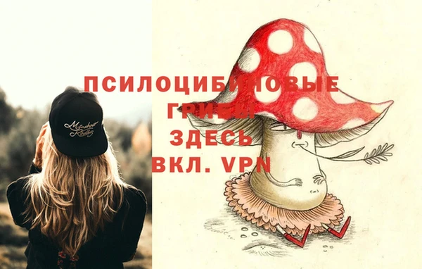 спайс Баксан