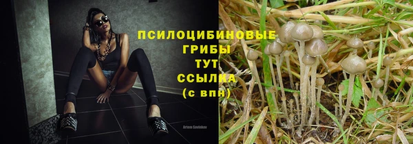 ГАЛЛЮЦИНОГЕННЫЕ ГРИБЫ Балабаново