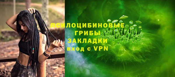 спайс Баксан