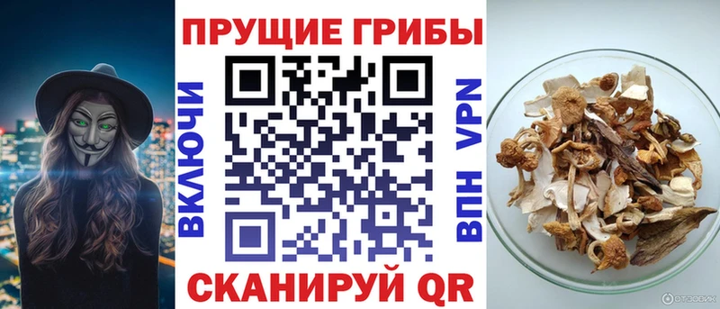 хочу   Озёры  Галлюциногенные грибы прущие грибы 